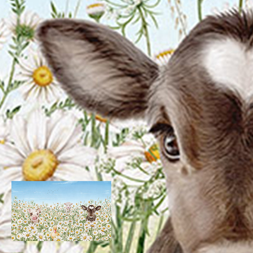Farm Animals