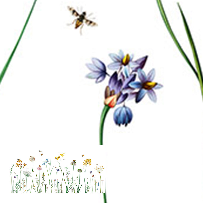 Butterfly Garden