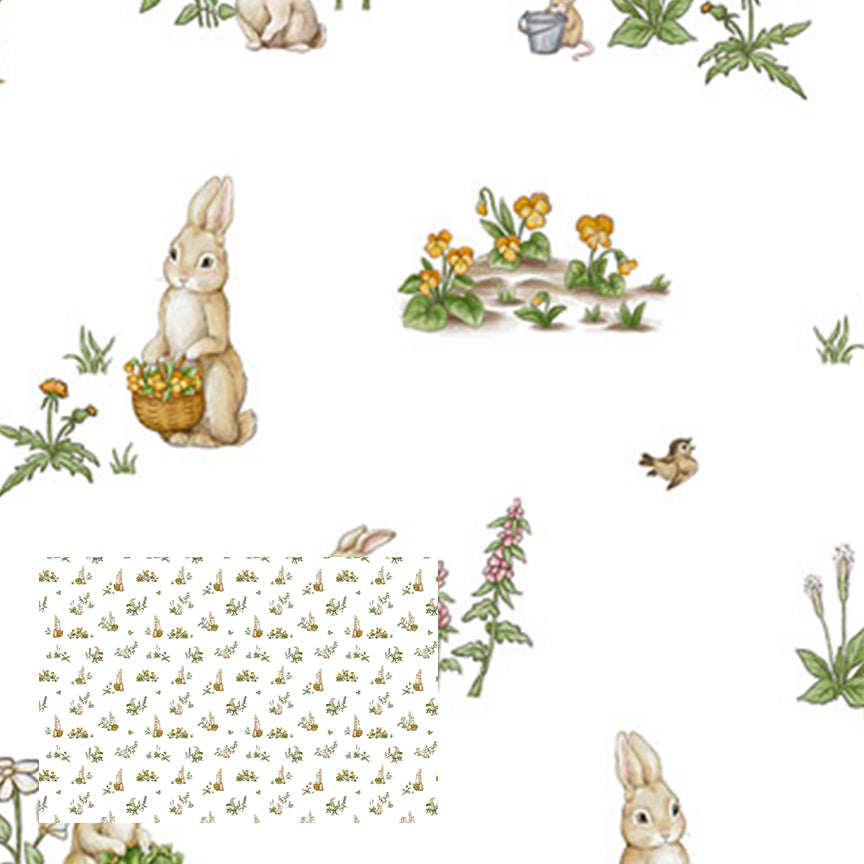 Rabbit Family