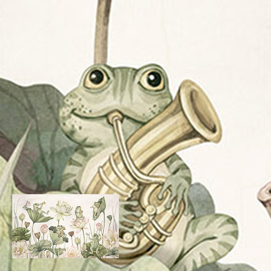 Water Lily Orchestra