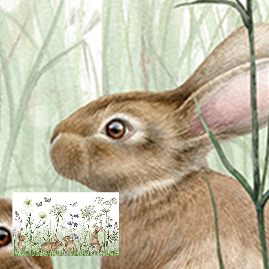 In the Undergrowth
