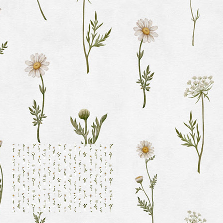 Dreamy Daisies