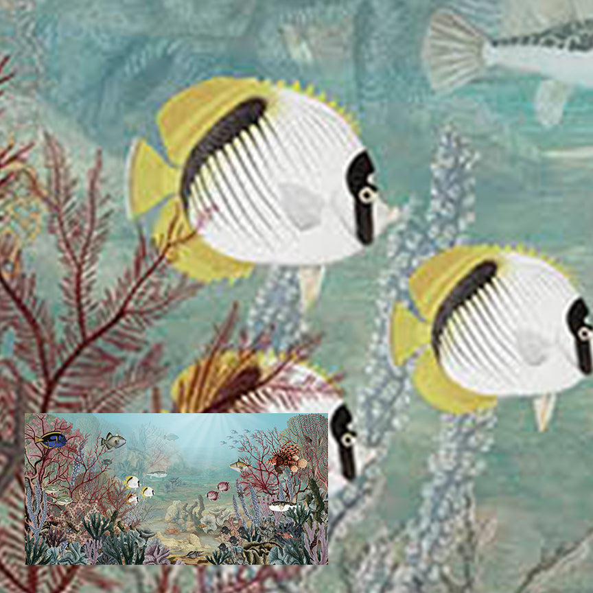 Coral Creatures