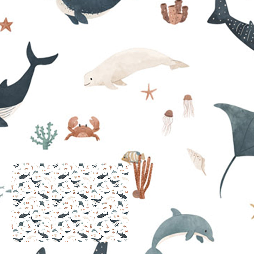Splendid Sea | White