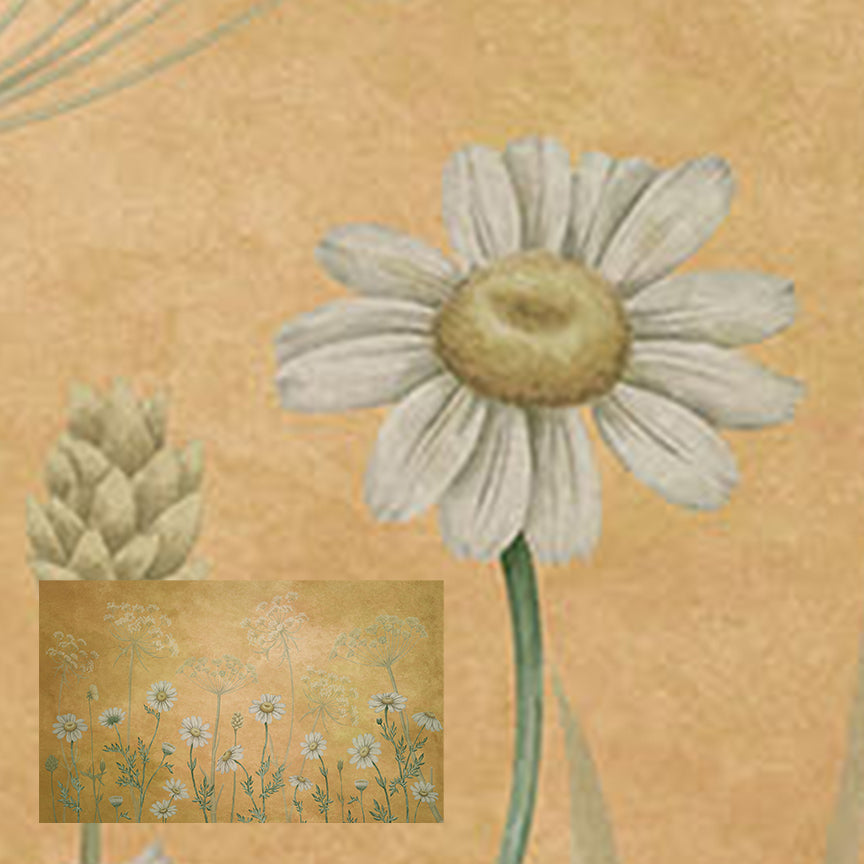 Dazzling Daisies | Yellow