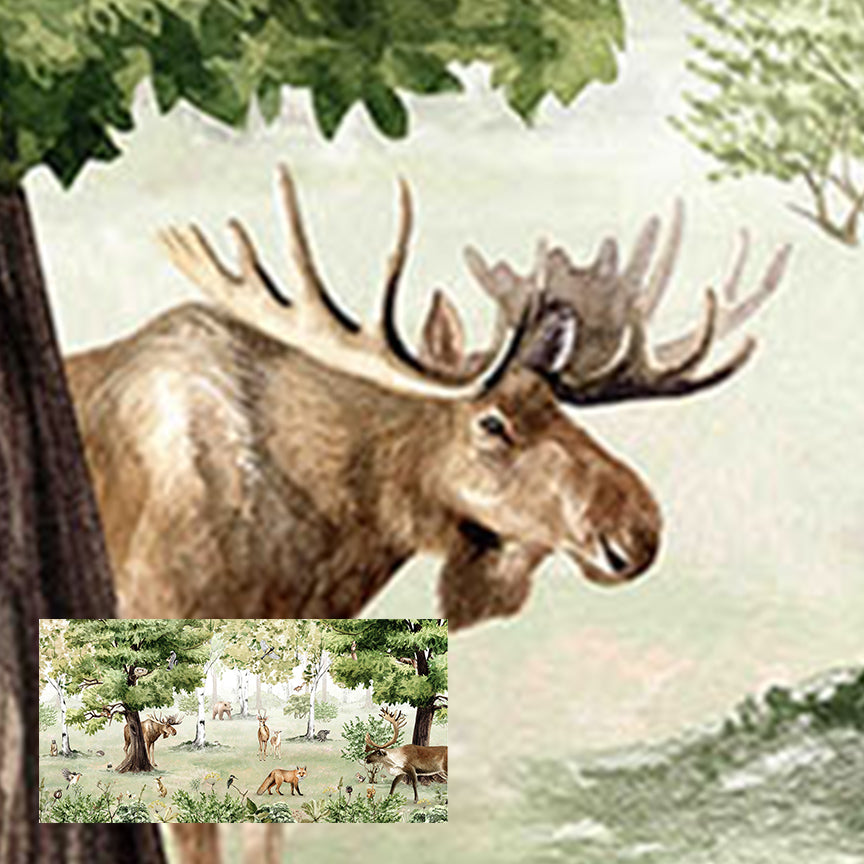 Woodland Wonders