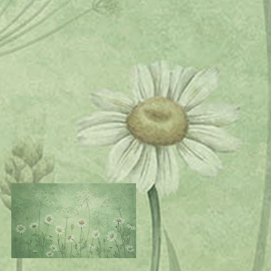 Dazzling Daisies | Green