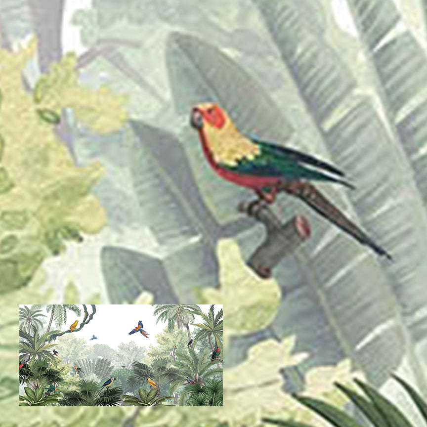 Canopy Jungle | Natural