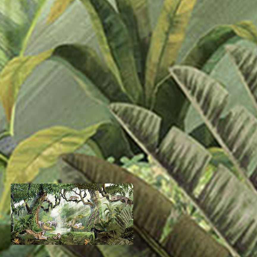 Jungle Cats