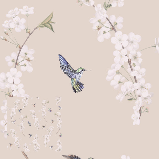 Humming Birds & Flowers