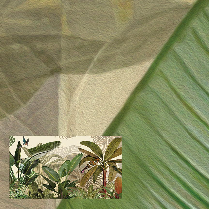 Tropical Plants