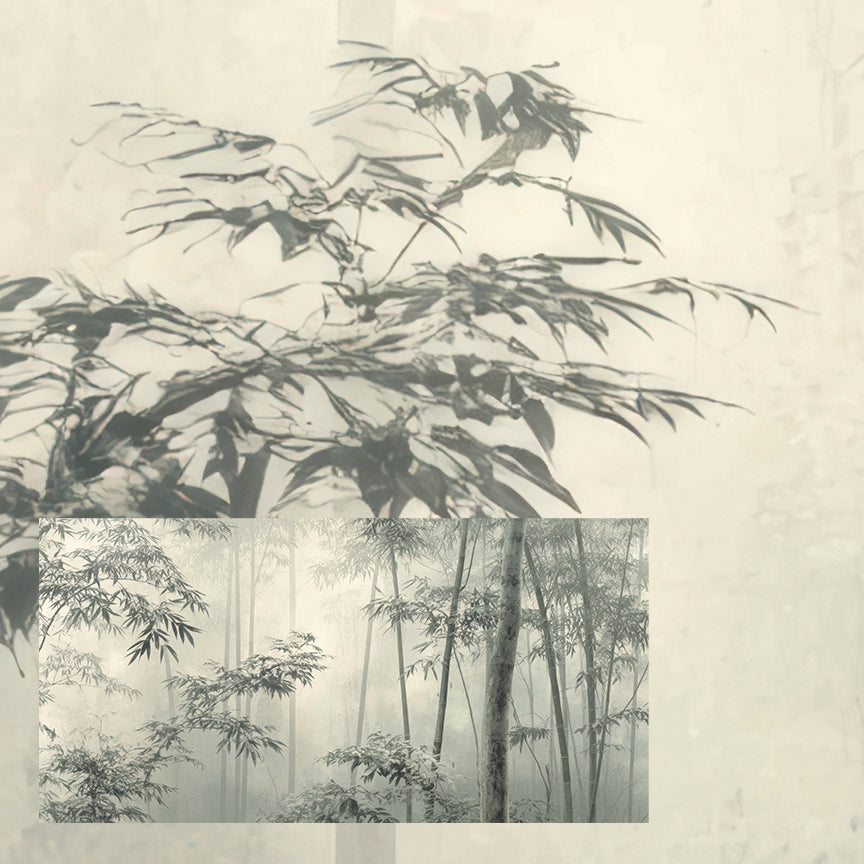 Misty Bamboo