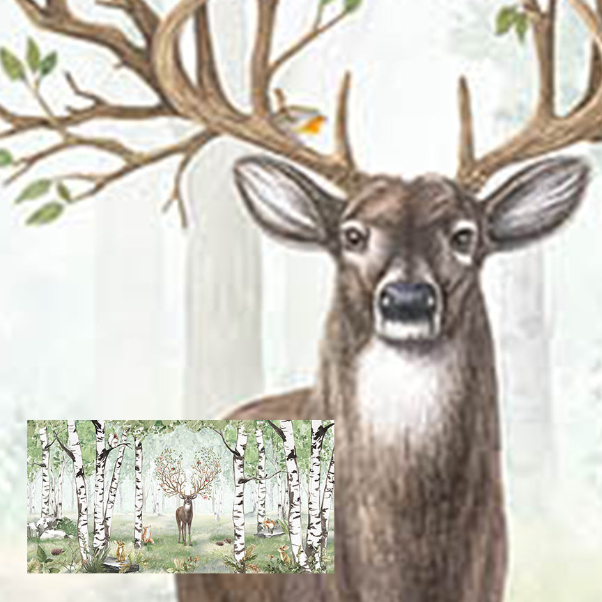 Amazing Antlers | Summer