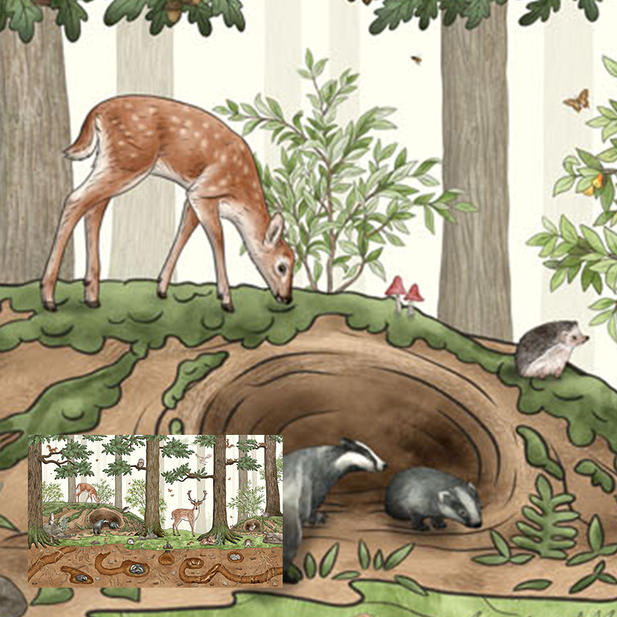 Animals in the Forest