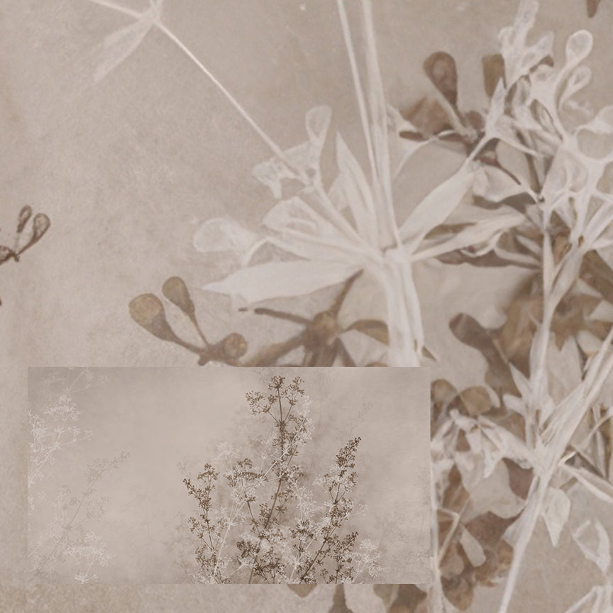 Dried Flourish
