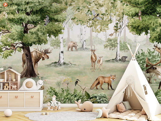 Woodland Wonders