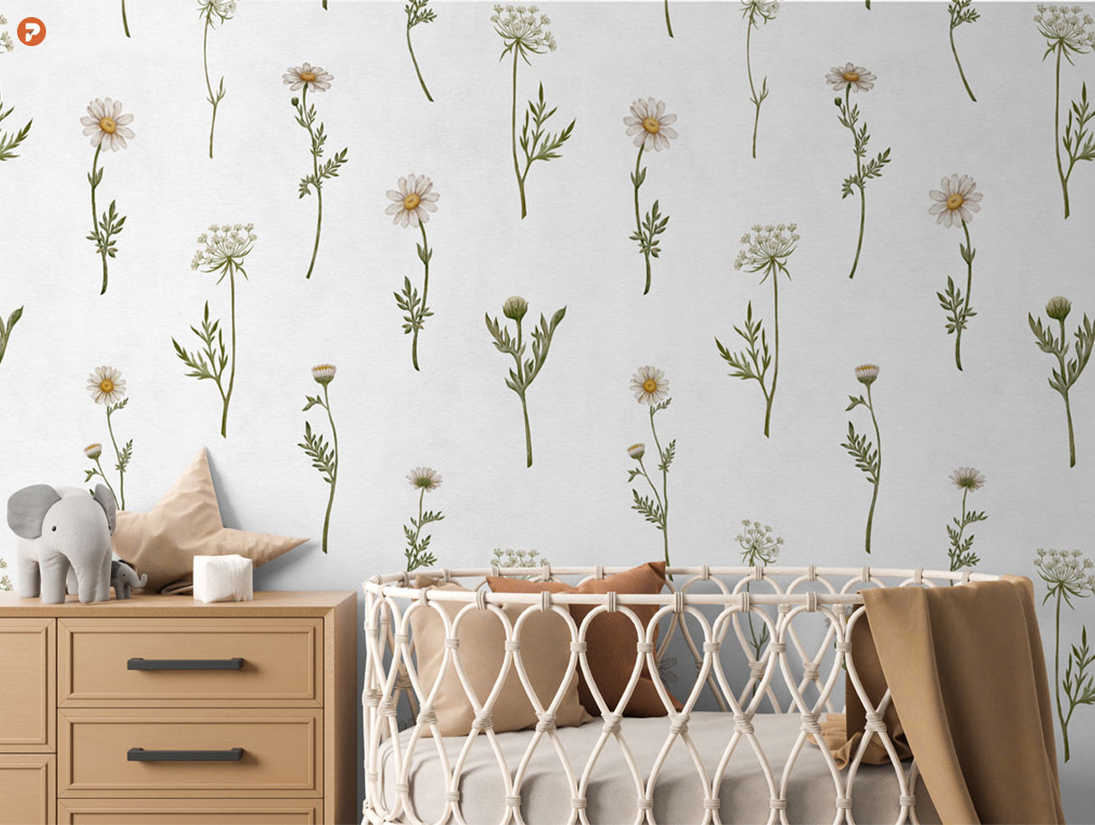Dreamy Daisies