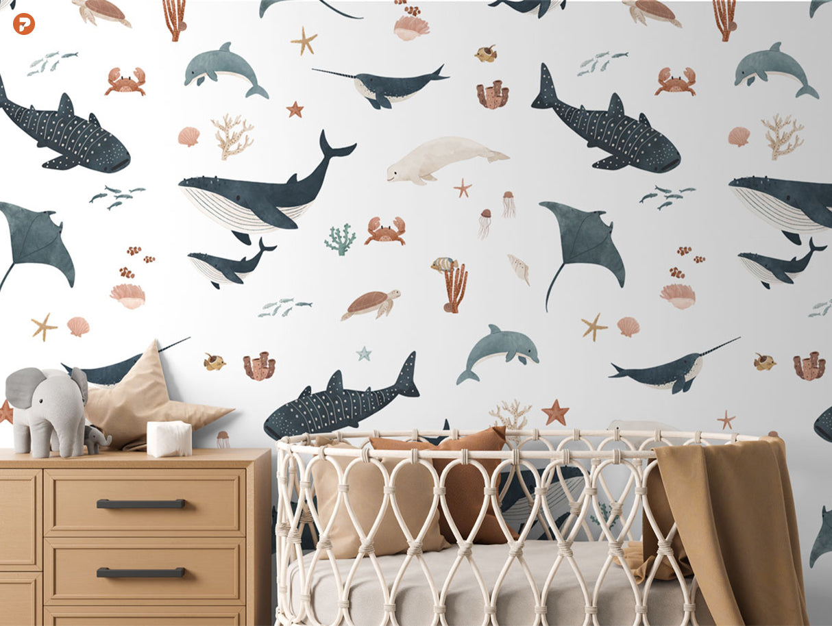 Splendid Sea | White