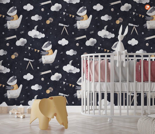 The Astronomer