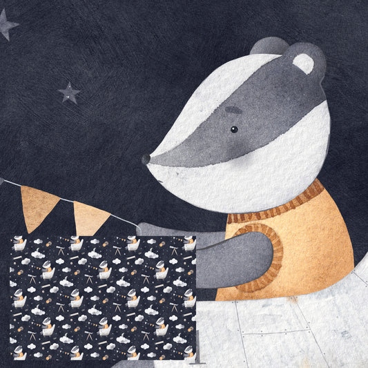 The Astronomer