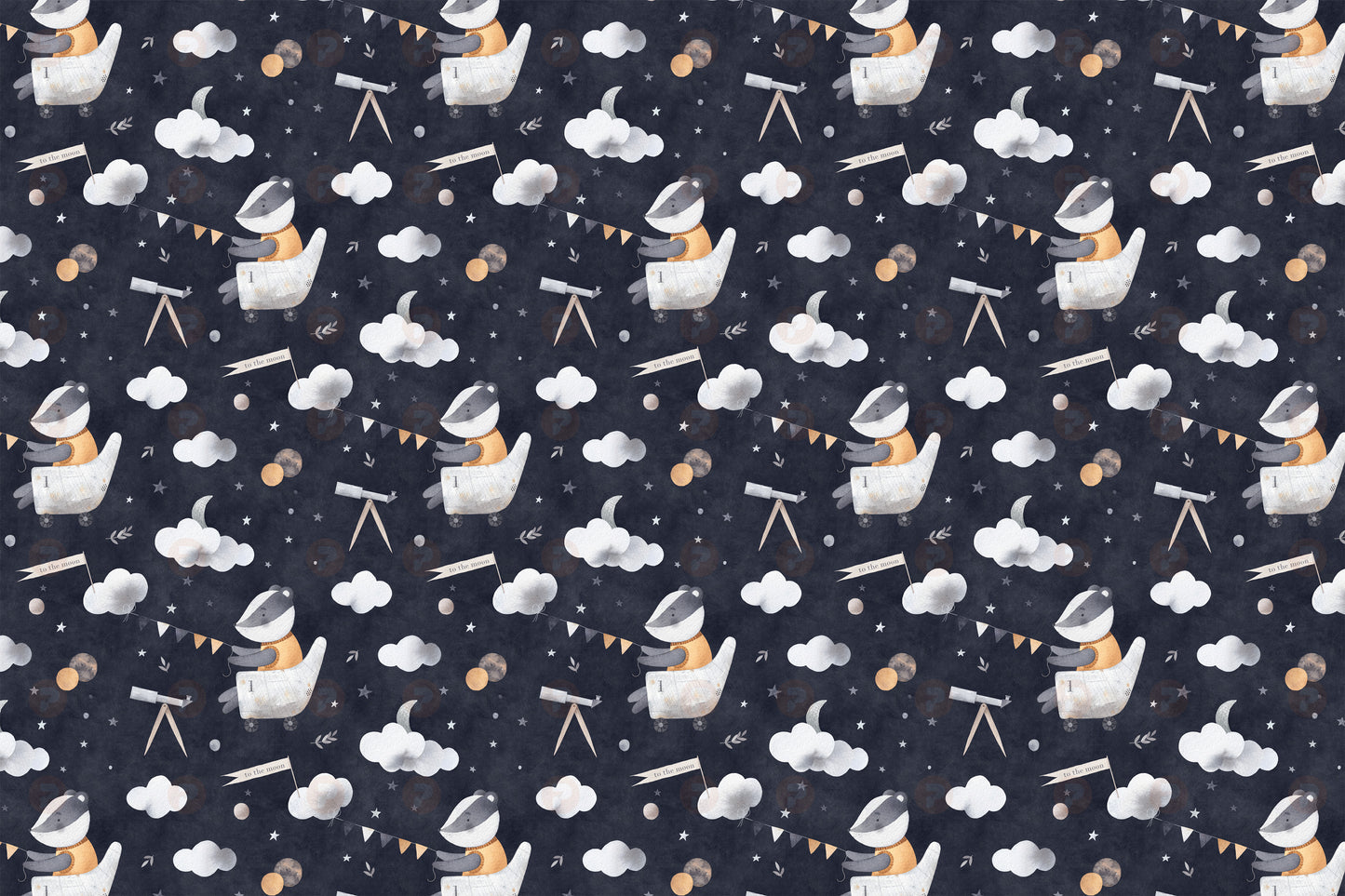 The Astronomer