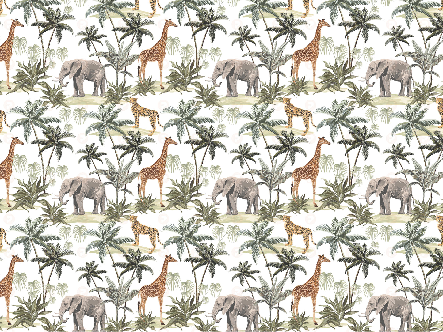 Tropical Jungle & Safari