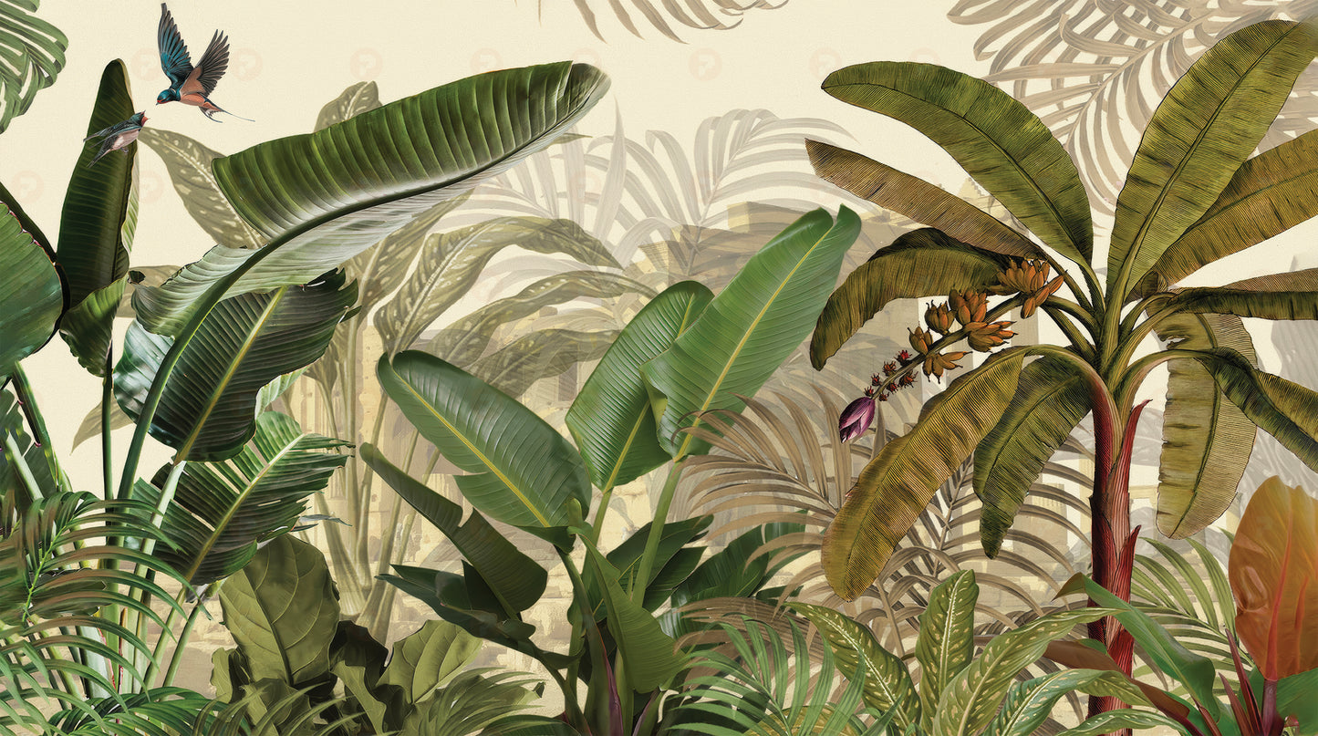 Tropical Plants