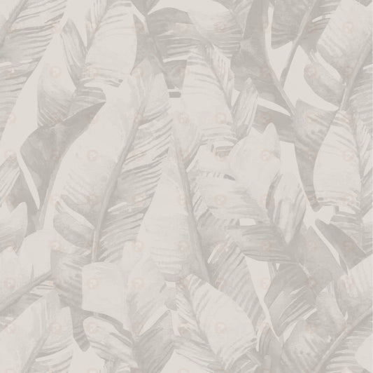 Banana Leaf Palms