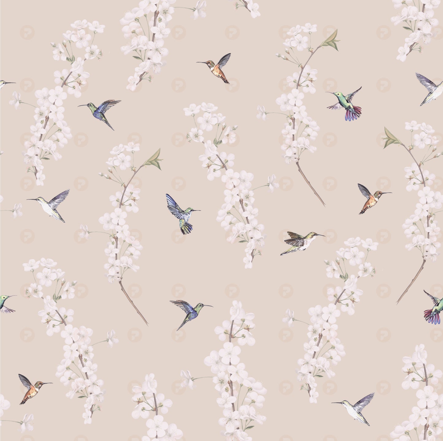 Humming Birds & Flowers