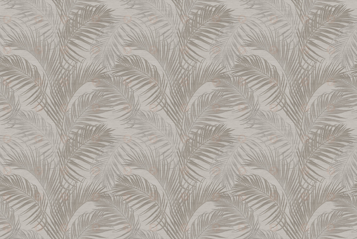 Palm Shadow