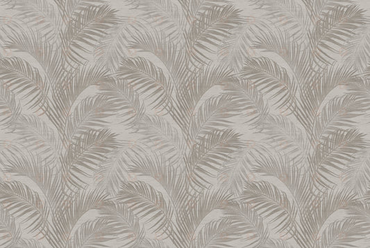 Palm Shadow