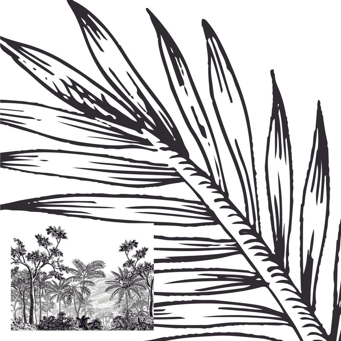 Black & White Jungle The Printerie