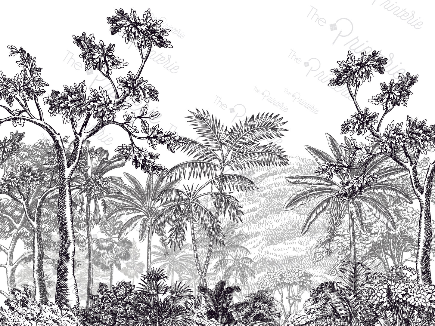Black & White Jungle Crop Proof