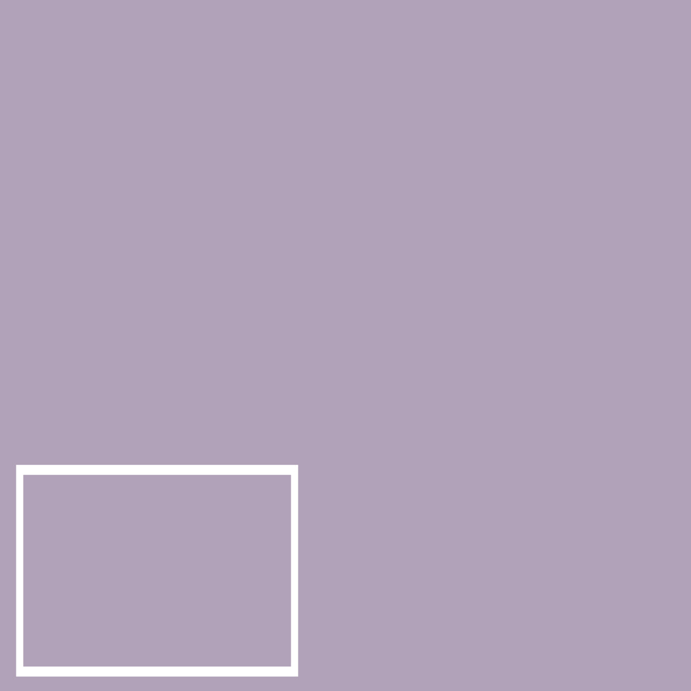 Lavender 2